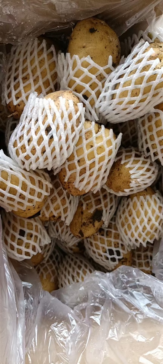 冷库黄心土豆大量有货
