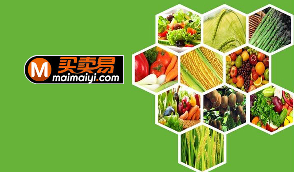 冷链物流网Maimaiyi买卖易平台