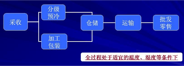 农产品冷链物流体系建设