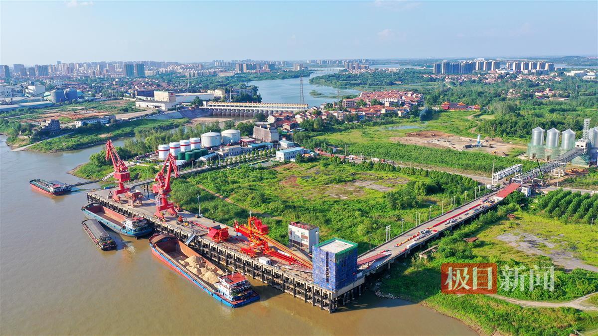 龙口冷链物流服务圈加速辐射长江经济带,新洲高质量发展再添新引擎