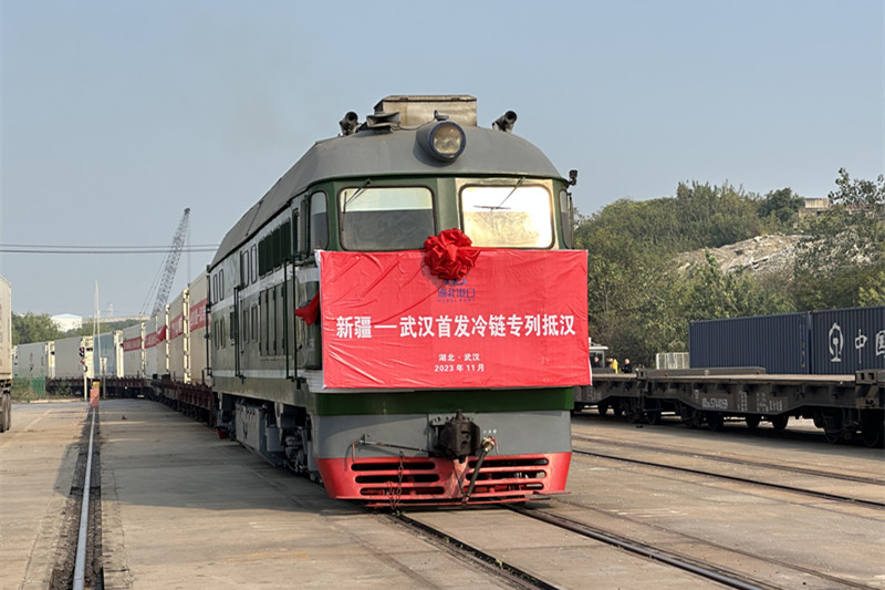 新疆-武汉冷链专列抵达阳逻铁水联运示范基地