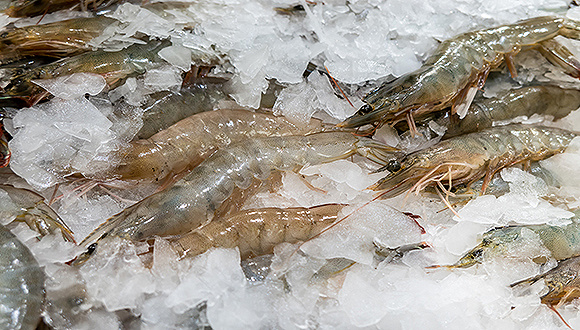 中国食物年损耗高是因为冷链物流基础薄弱