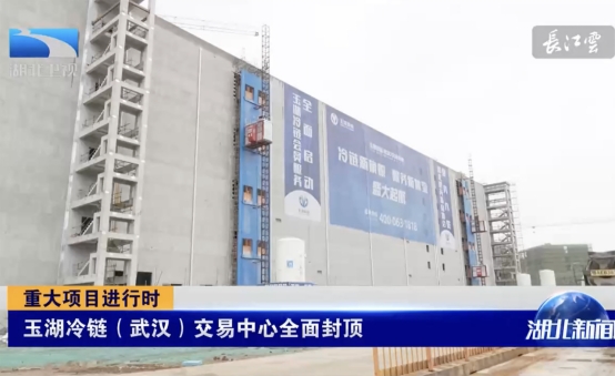 玉湖冷链(武汉)交易中心封顶