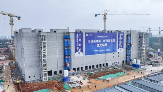 玉湖冷链(武汉)交易中心封顶