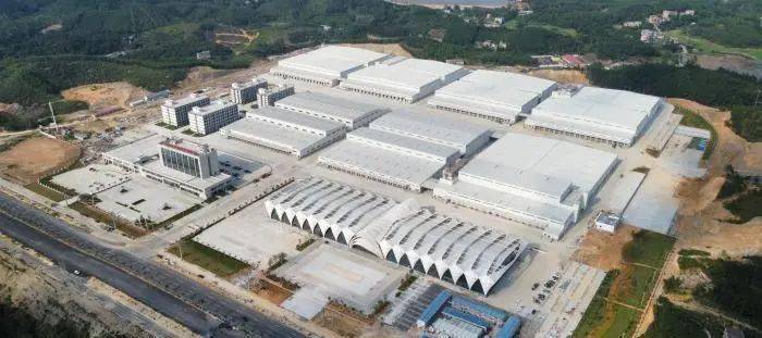 广西冷链物流背靠大树 磅礴生长