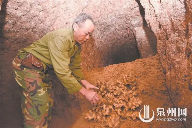 德化县最大的冷链仓储保鲜库建成