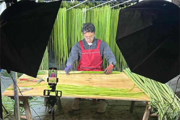 小贡菜里的大“钱”景