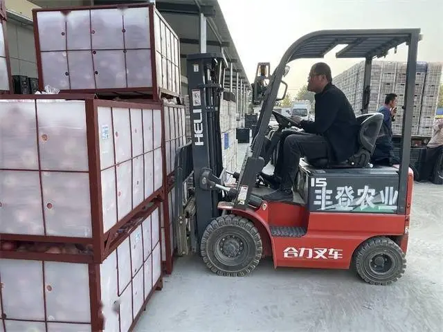 威海高标准苹果冷库助农增收