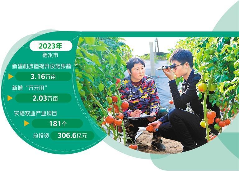河北衡水建设现代农业强市 高品质果蔬畅销京津冀