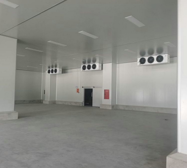 大蒜冷藏库