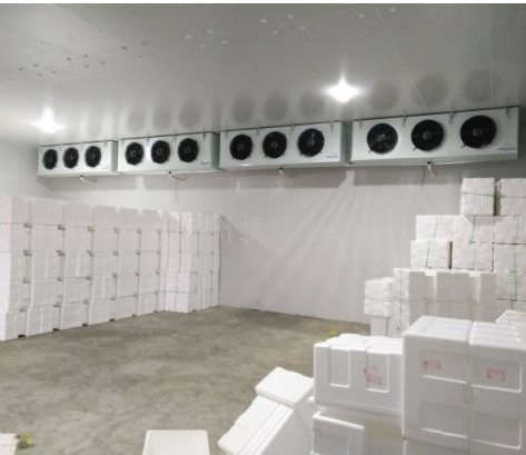 食品冷库建造安装需要多少钱