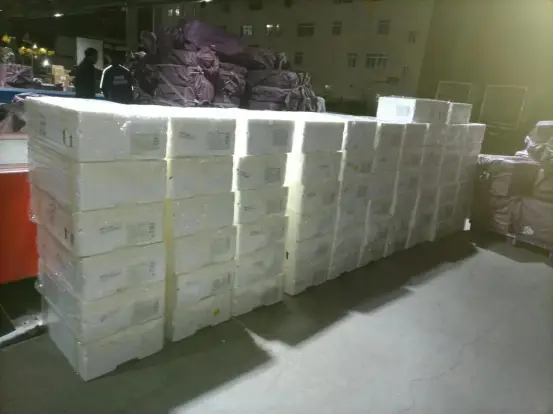 创新冷链运输新模式，山航助力“金砖航线”保畅保通