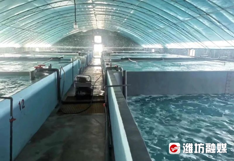 潍坊拟入选全国现代设施农业创新引领区