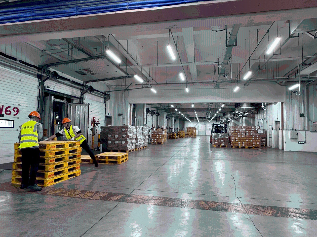 广州千亿冷链物流格局跑出加速度