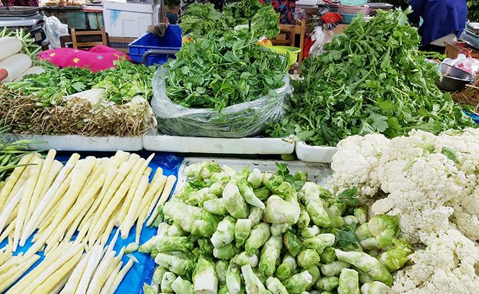 海南瓜果蔬菜“出岛难”,当地开出绿色通道解困