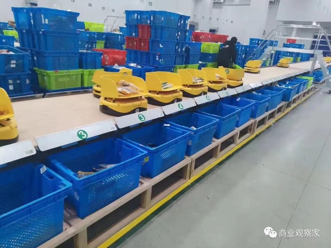 海口多措并举助力菜农丰产又丰收
