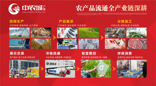 广安中农城的冷链贸易