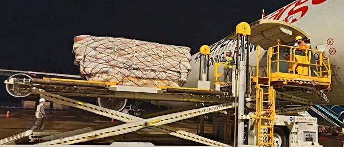 国际航空货运航线网络