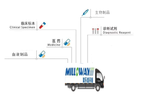 美乐维冷链物流公司
