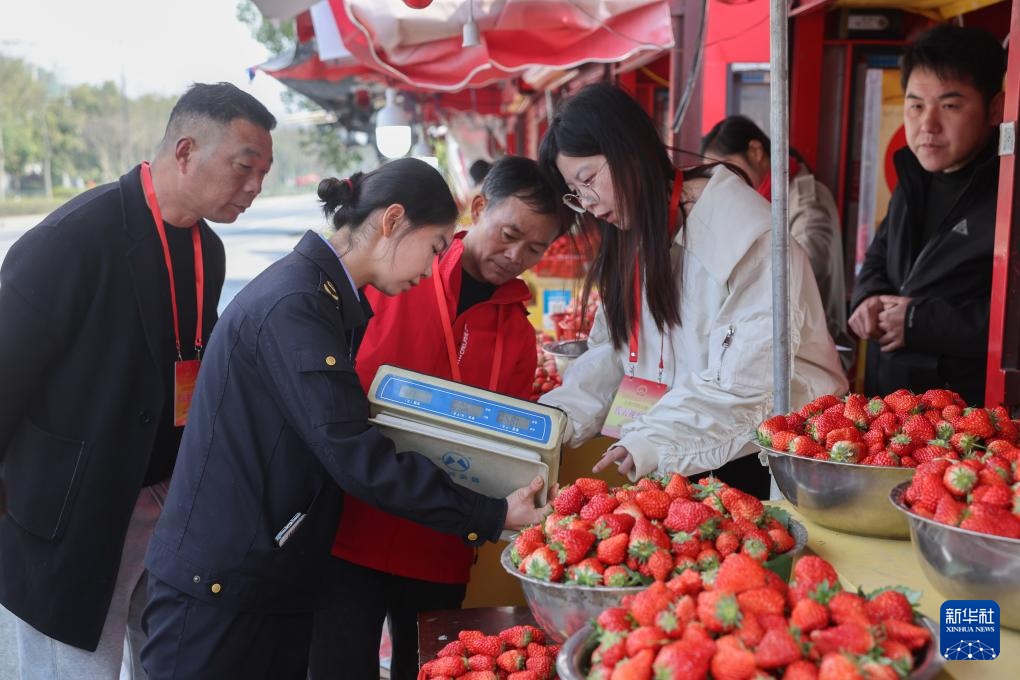 草莓之乡开展“草莓放心购”食品质量安全检查活动