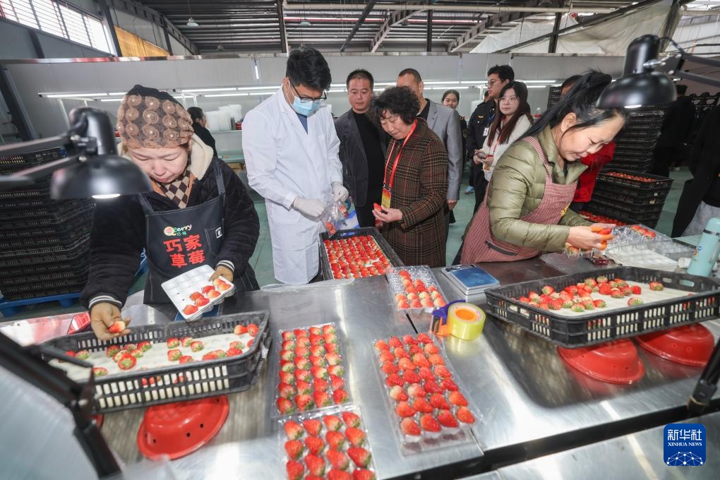 草莓之乡开展“草莓放心购”食品质量安全检查活动