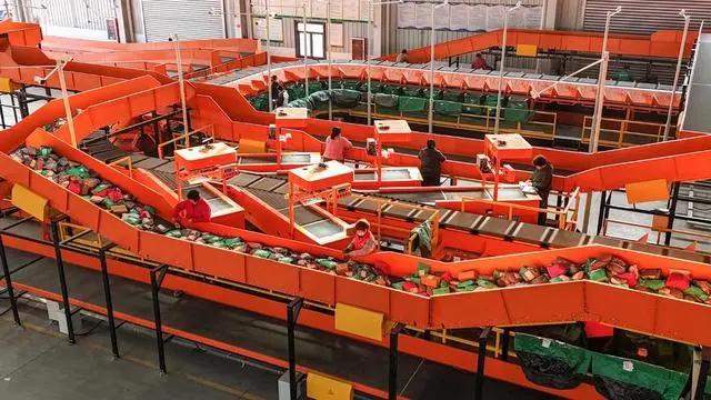 乐陵物流快递运转忙 凸显消费新活力