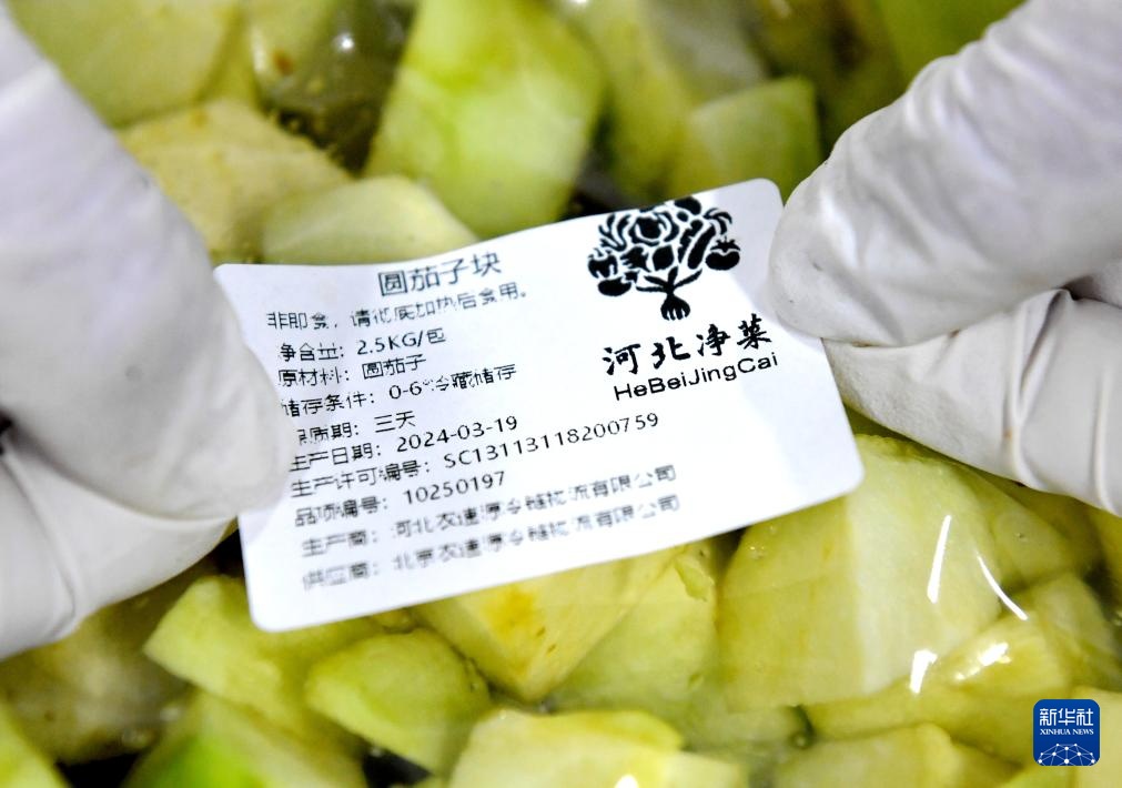 河北深州净菜工厂