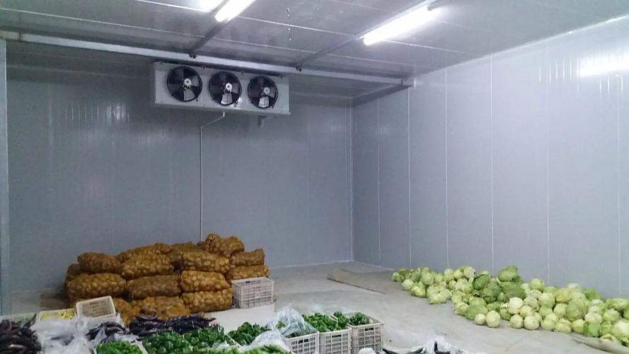 蔬菜水果批发建多大的保鲜冷库比较合适