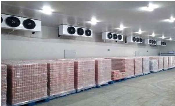 冷库的建造费用多少 冷链物流网给出参考基准