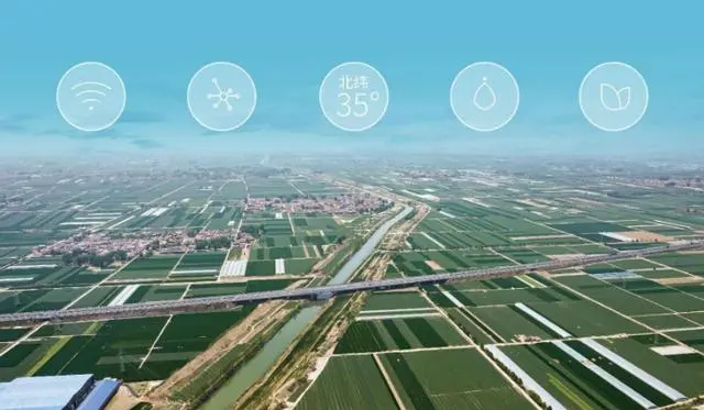 中农七朵销地仓引领智慧物流新纪元