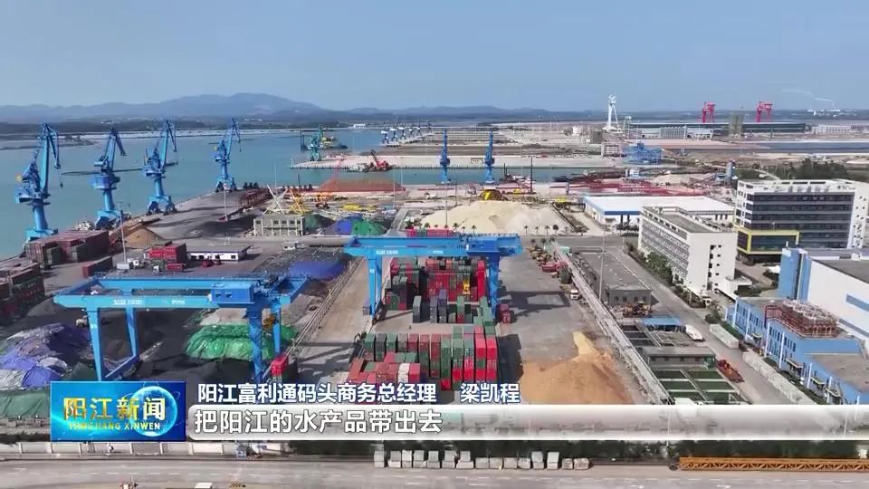 阳江全航线推进集装箱物流