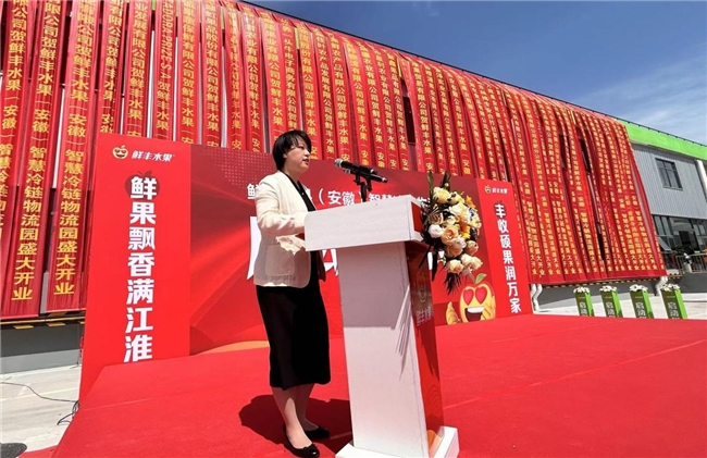 鲜丰水果(安徽)智慧冷链物流园启动