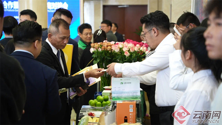 滇泰农产品贸易合作暨绿色云品招商对接会