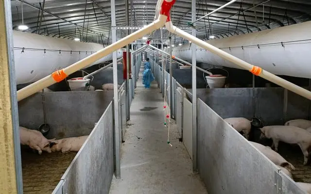 清镇市生猪养殖屠宰冷链全产业链项目