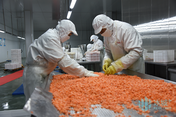 尚志市速冻果蔬冷链物流加工项目复工