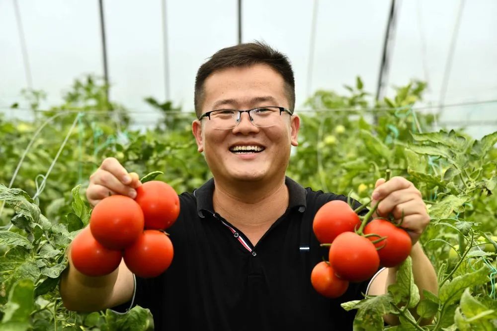 冷链物流助力新农人的兴农梦