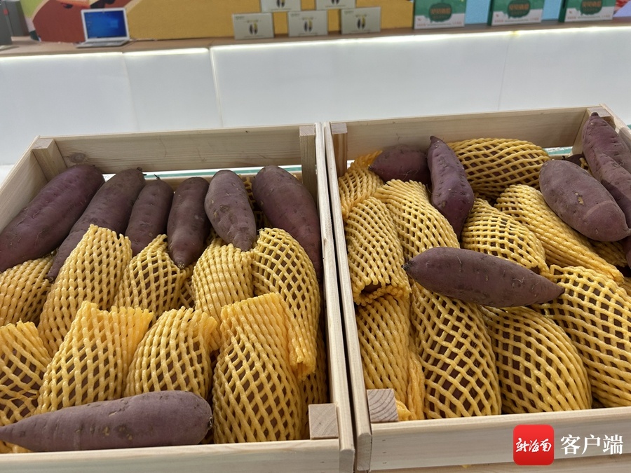 深农集团新品亮相消博会