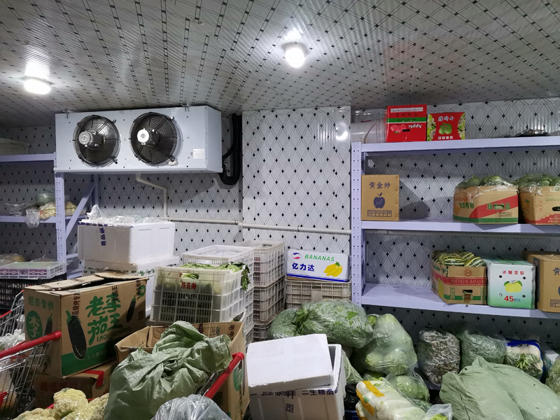 生鲜蔬菜店/生鲜蔬菜配送中心冷库建造