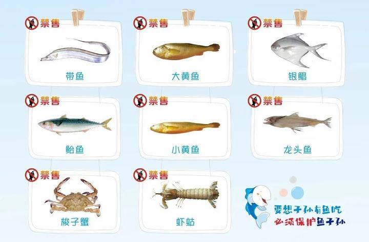 东海全面休渔看温州海产供应链