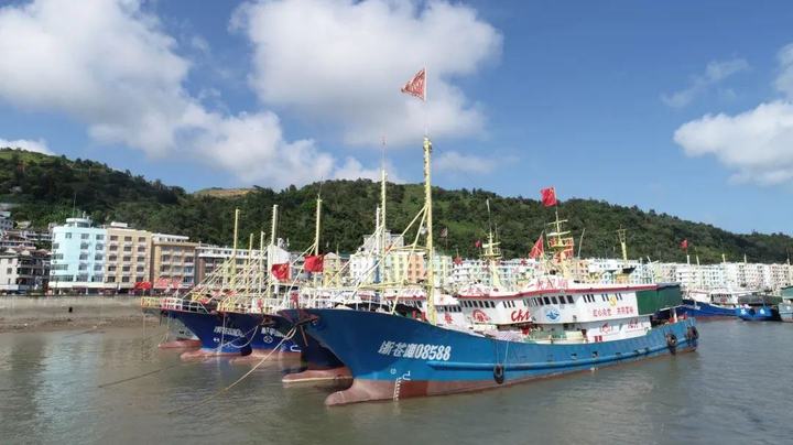 东海全面休渔看温州海产供应链