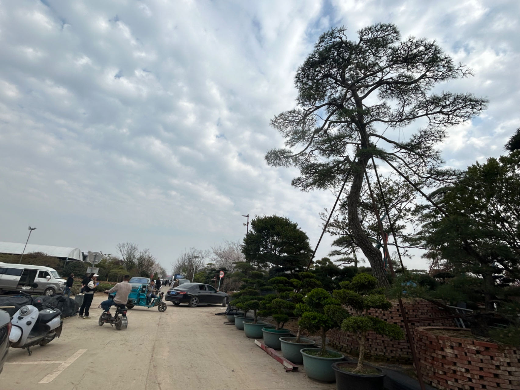 花卉苗木产业链冷链物流体系