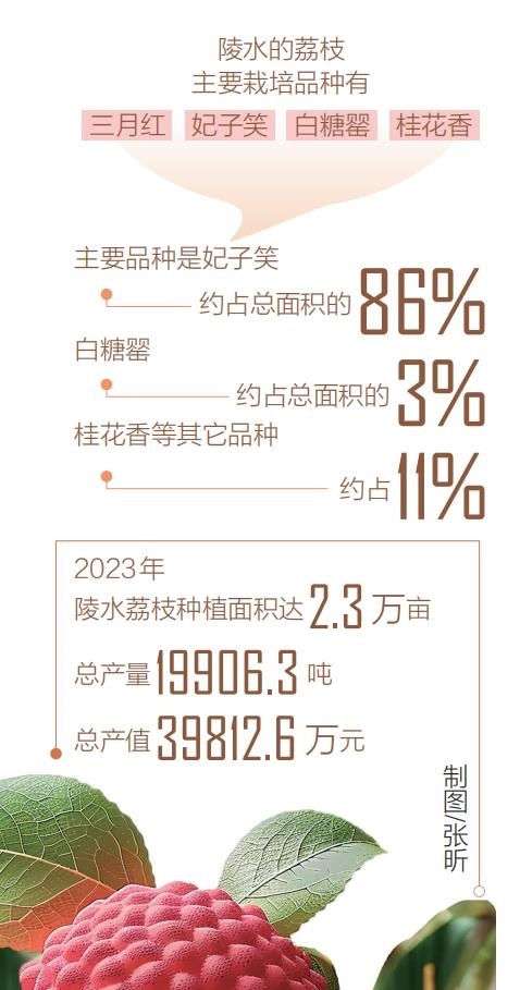 荔枝季冷链物流17356供应链探访陵水荔枝园