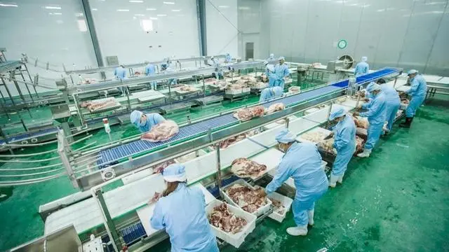 高州顺达生猪产业全产业链融合发展