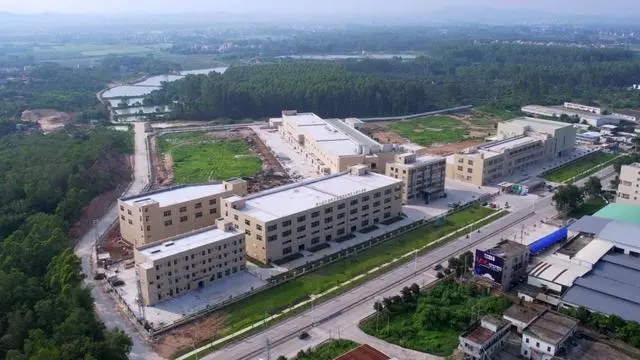 高州顺达生猪产业全产业链融合发展