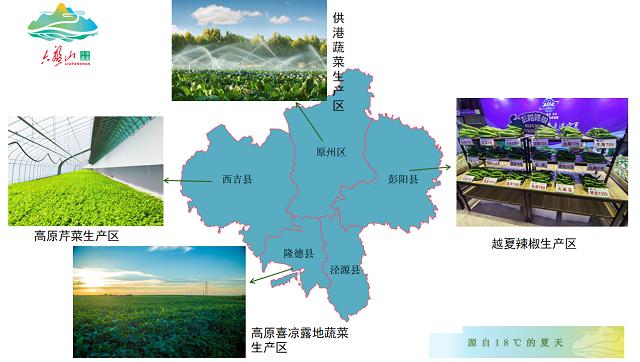 固原冷凉蔬菜发展产业链