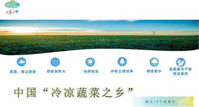 固原冷凉蔬菜发展产业链