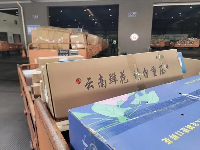 东航物流鲜花运输