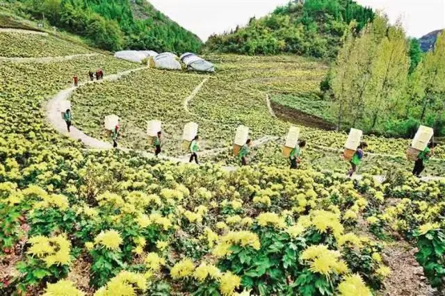 重庆云阳县产品展销暨食品及农产品加工产业链招商推介会