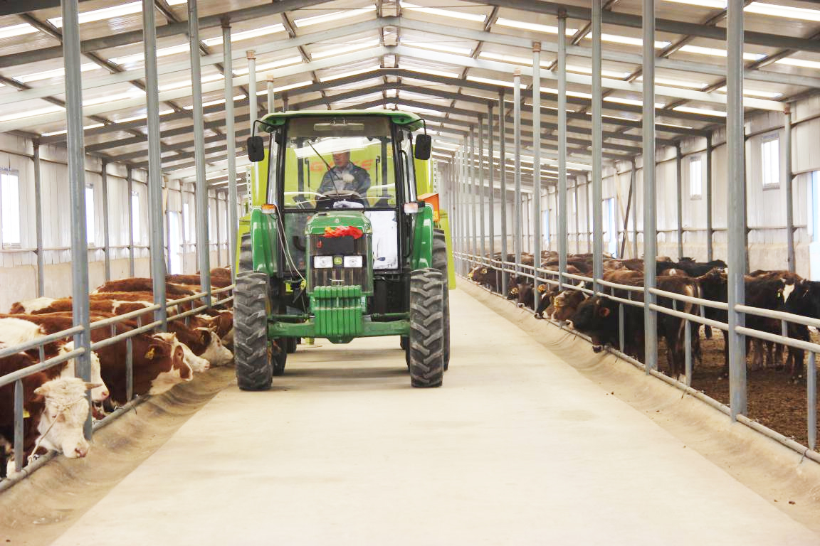 “凉州黄白花牛肉”荣获全国名特优新农产品称号