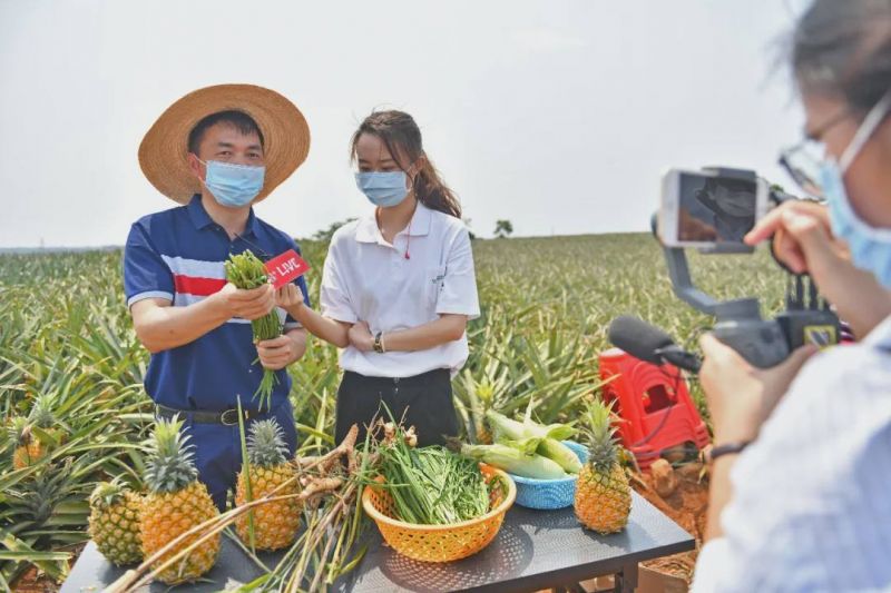 六部门建议引导利用直播平台推广销售农产品